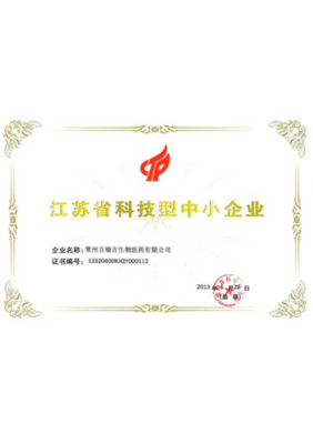 江蘇企業(yè)網(wǎng)站發(fā)展大事記 從門戶初建到數(shù)字生態(tài)演進(jìn)